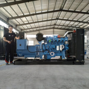 300kw Yuchai Diesel Generator Set